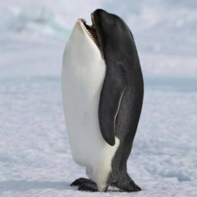 gidget@kolektiva.social