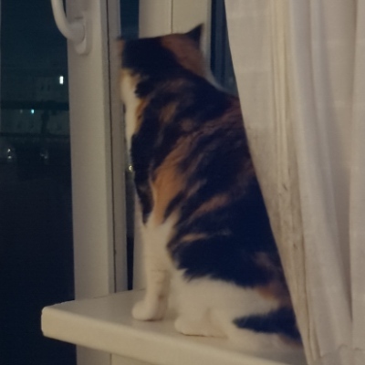 phalzu@kolektiva.social