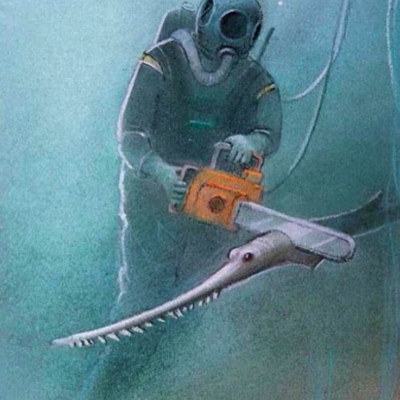 youngbeard@kolektiva.social