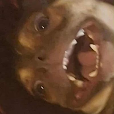 dirt_character@kolektiva.social