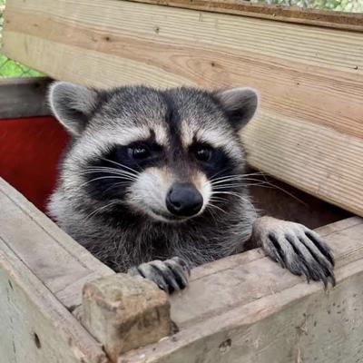 cloud_dweller@kolektiva.social