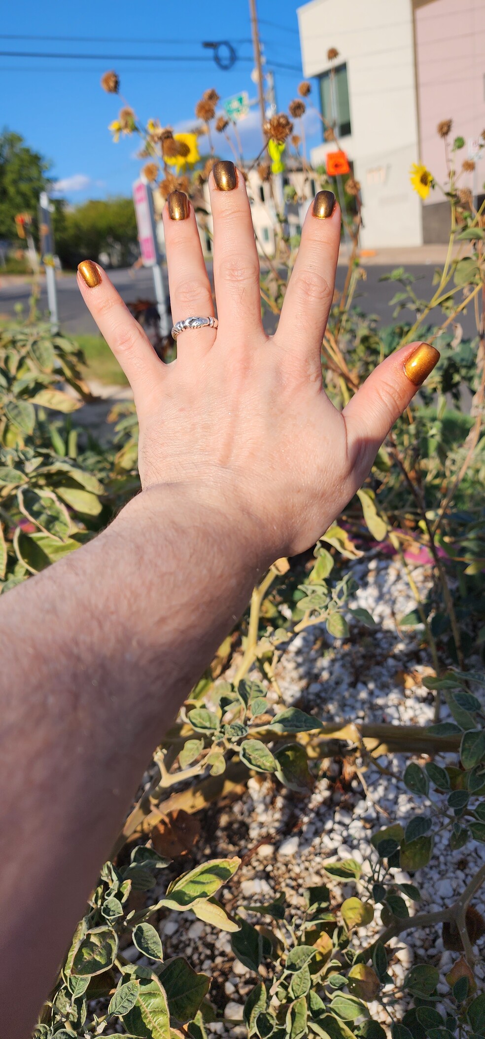 Kit's nails are a chrome orangey gold color. They are holding their hand up against a sunflower plant for a bacor5op. 