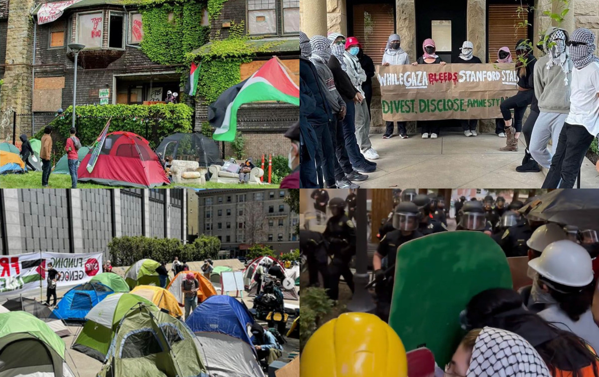 Collage of building occupations and demonstrators squaring off against riot police.