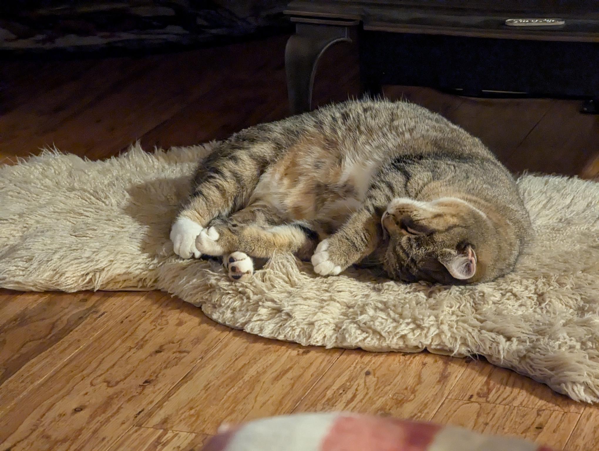 A slight change to his position, now his head is turned to where the bottom of his chin is faced upward.