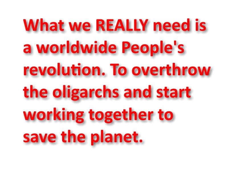 What we REALLY need is a worldwide People's Revolution. To overthrow the oligarchs and start working together to save the planet.