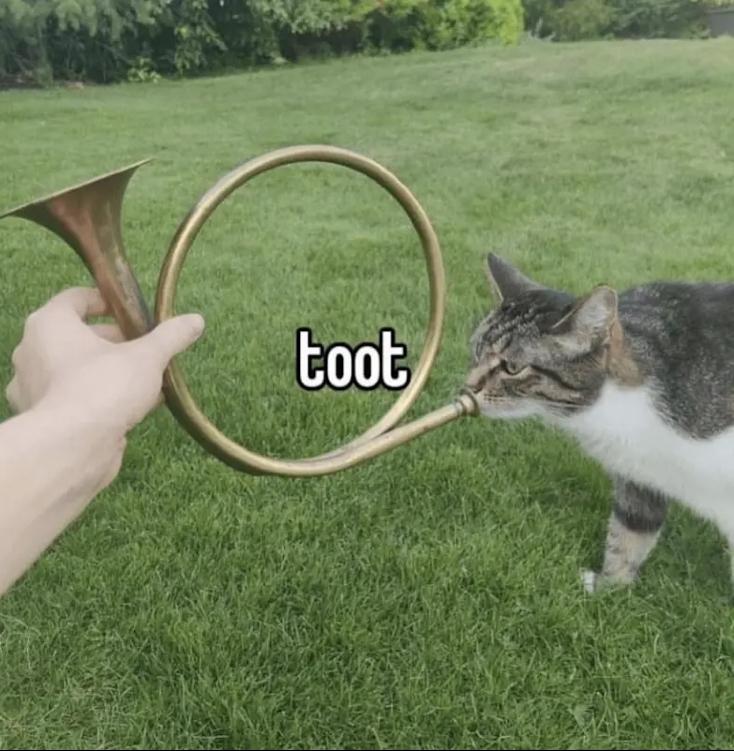 Kot stojący na trawie dmucha w miedziany róg trzymany dłonią białego człowieka. Napis czcionką MemeFont głosi "toot"
