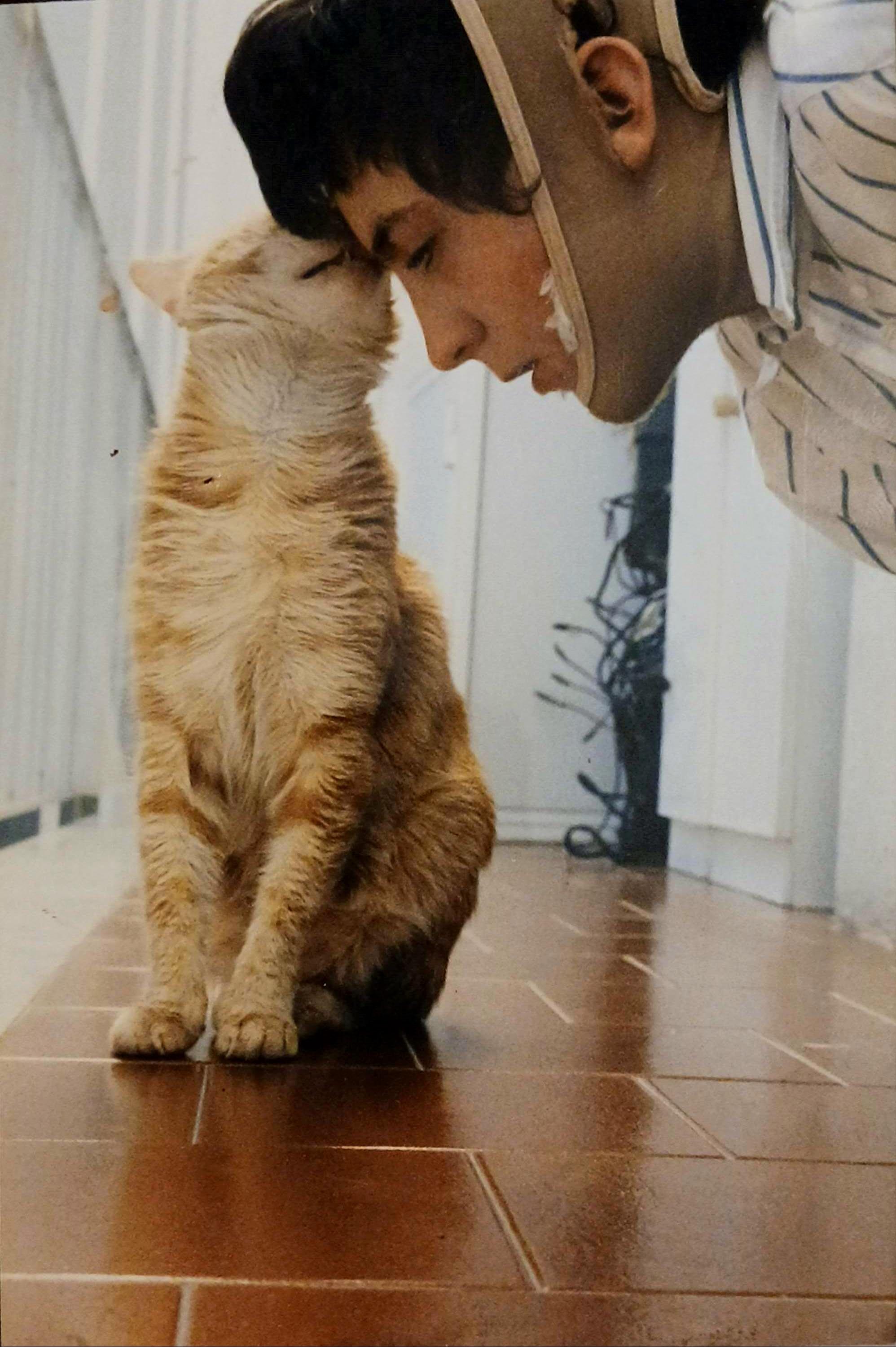 orange tabby cat (Какой) sitting on the balcony and kissing my mom on the forehead, she's got short black hair  and she's wearing a bandage/face brace because of an incident