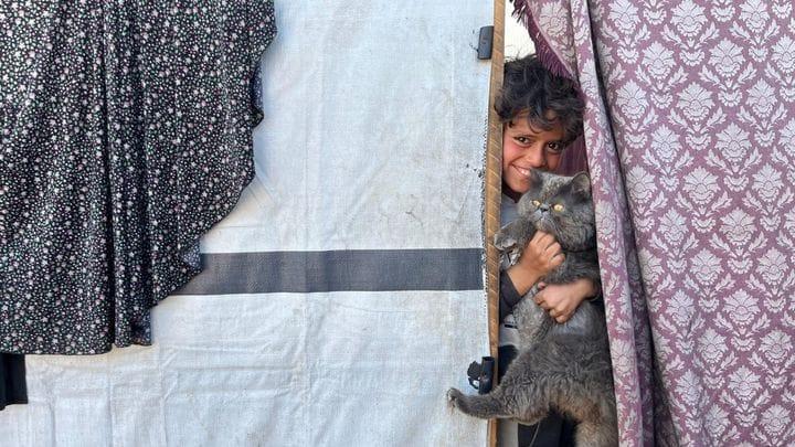 A boy, holding a cat, is peeking out from a gap in the tent's fabric wall. He's smiling.