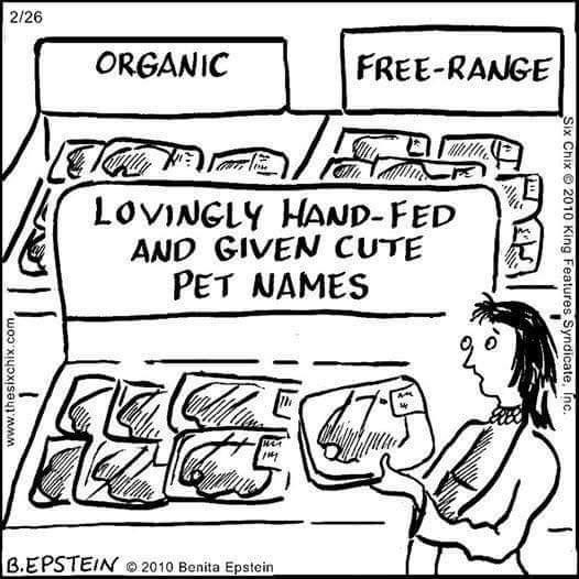 The image is a black and white cartoon by Benita Epstein. It depicts a woman standing in front of a meat section in a grocery store. The meat section has three signs: "ORGANIC," "FREE-RANGE," and "LOVINGLY HAND-FED AND GIVEN CUTE PET NAMES." The woman is holding a package of meat and looking at the signs with a puzzled expression.