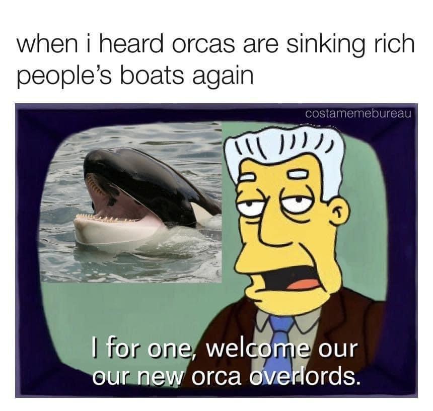 The image is a meme featuring a screenshot of an orca (killer whale) in the water alongside a cartoon news anchor from "The Simpsons," with the caption "when i heard orcas are sinking rich people's boats again." Below the image of the news anchor, there is a text that reads, "I for one, welcome our new orca overlords."