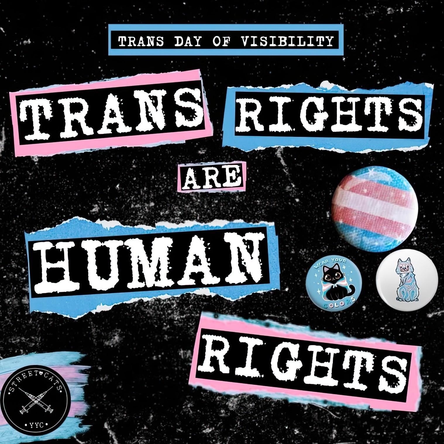 STREEYYC •TRANS DAY OF VISIBILITYTRANS RIGHTSAREHUMANCATSWEARYOURCOLORSRIGHTS