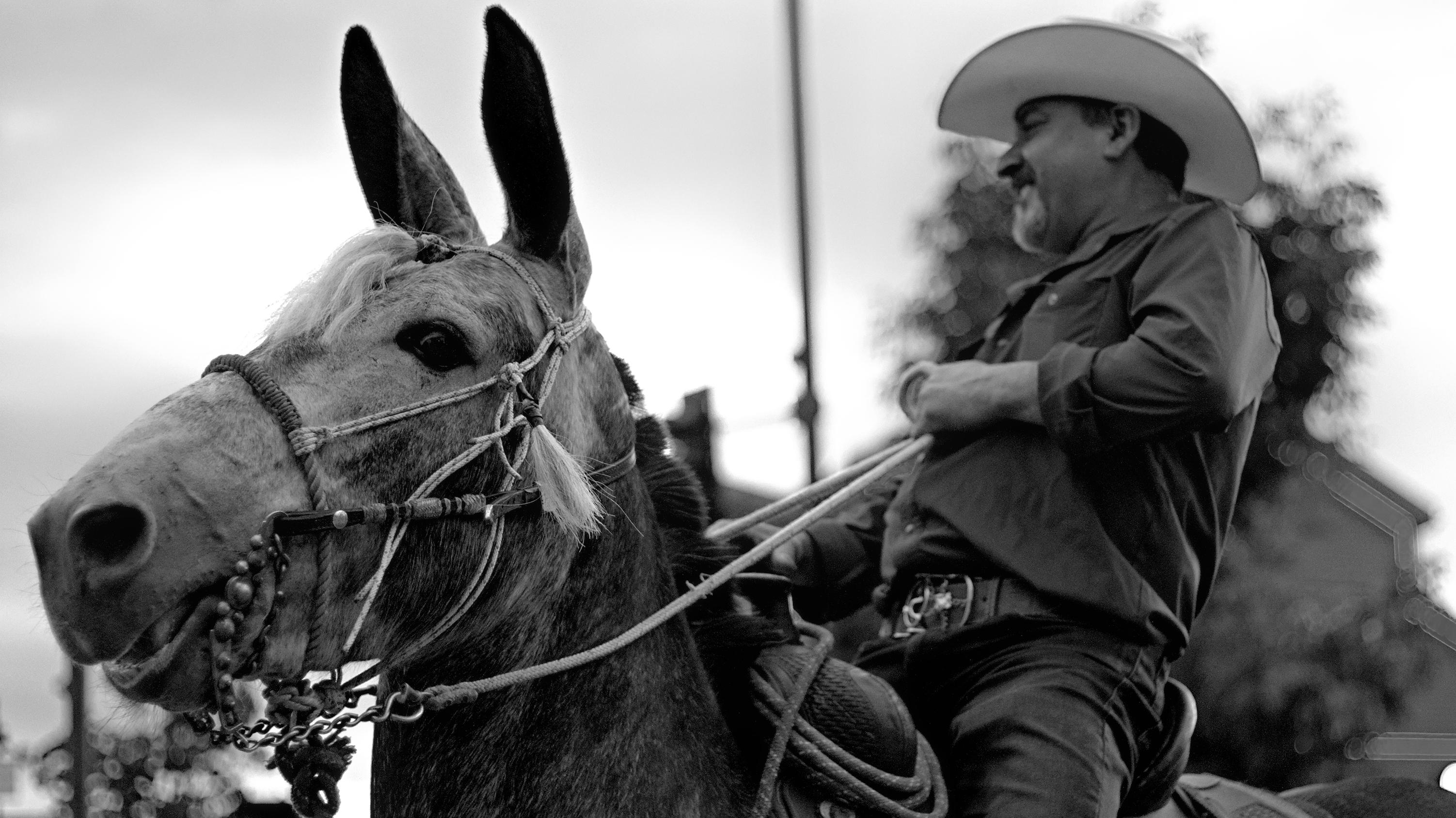 Monochrome photo of a person wearing a cowboy hat riding a horse