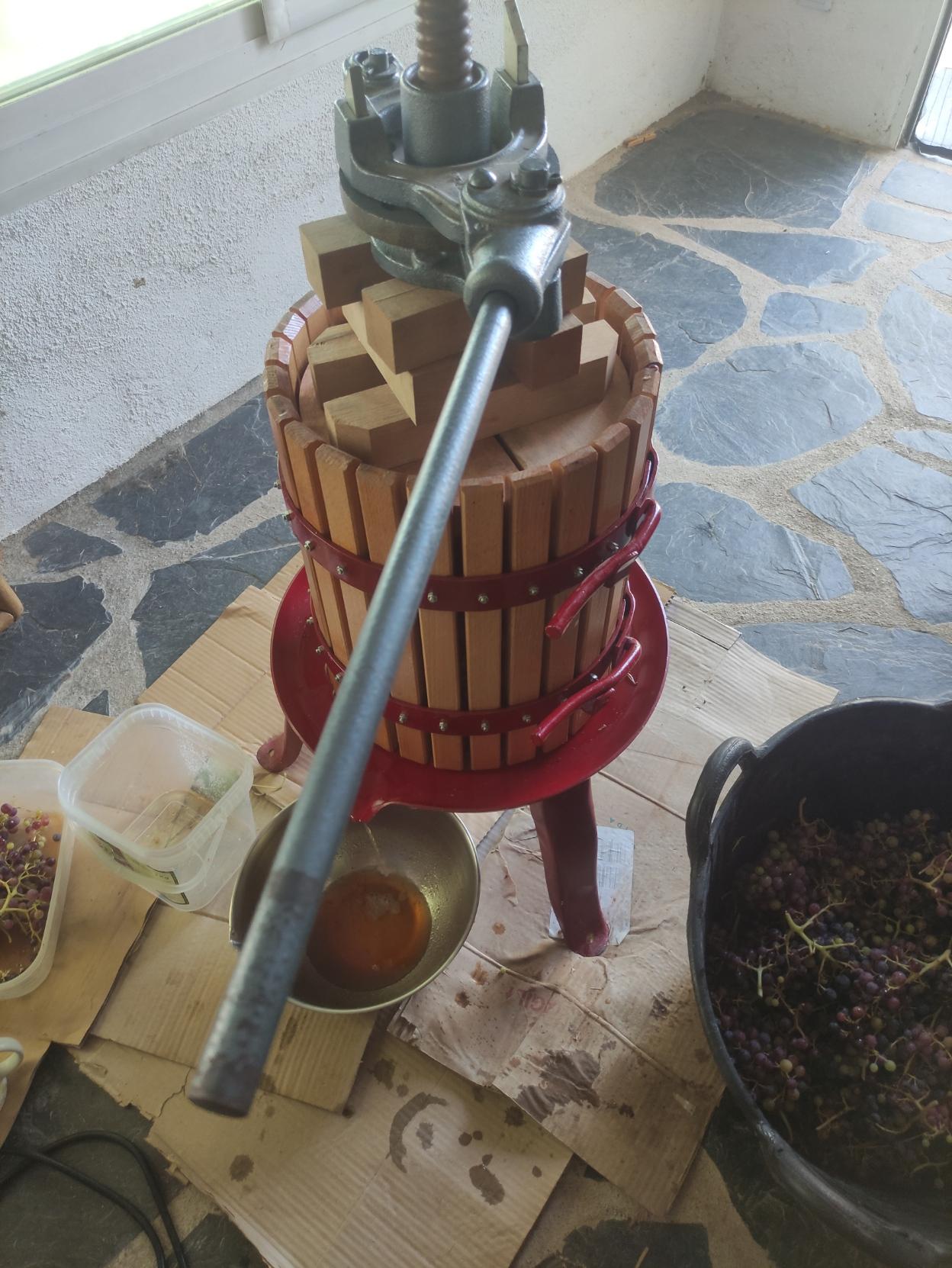 Dentro de un porche en el q se ve arriba un cachito de ventana y con suelo de pizarra hay una prensa de 30 litros de madera con los metales rojos, debajo hay cartón y un bol grande de metal donde cae mosto. Se ve la barra de apretar la prensa en primer plano. Tb hay una espera a la derecha llena de uva