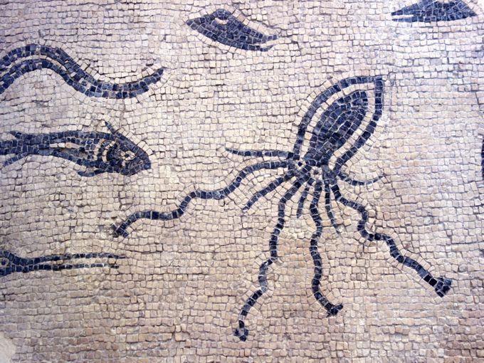 This mosaic fragment is made up of a white background and blue hues have been used to depict fish, a aquid, and other marine life. It is striking in the simplicity of colours. From the Roman house in Ariminum (Rimini). Mosaic on display at the Museo della città di Rimini.