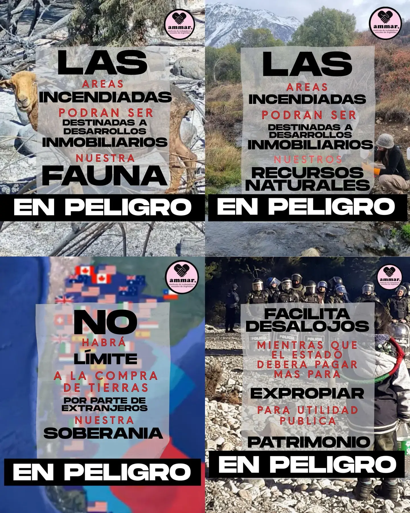 «¿Qué viola la Ley de Inviolabilidad de la Propiedad Privada?»

Las áreas incendiadas podrán ser destinadas a desarrollos inmobiliarios. Nuestra fauna en peligro. Nuestros recursos naturales, en peligro.

No habrá límite a la compra de tierras por parte de [empresas] extranjeras. Nuestra soberanía, en peligro.

Facilita desalojos mientras que el estado deberá pagar más para expropiar para utilidad pública. Patrimonio, en peligro.

[logo: AMMAR.]