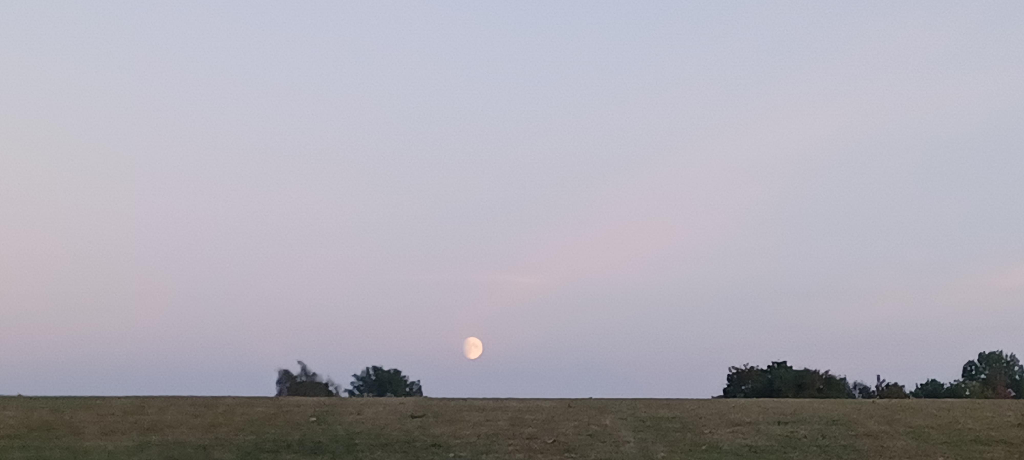 closer-up of the moon at dusk which was actually huge in real life which the photo doesn't do justice but it is still a nice pic