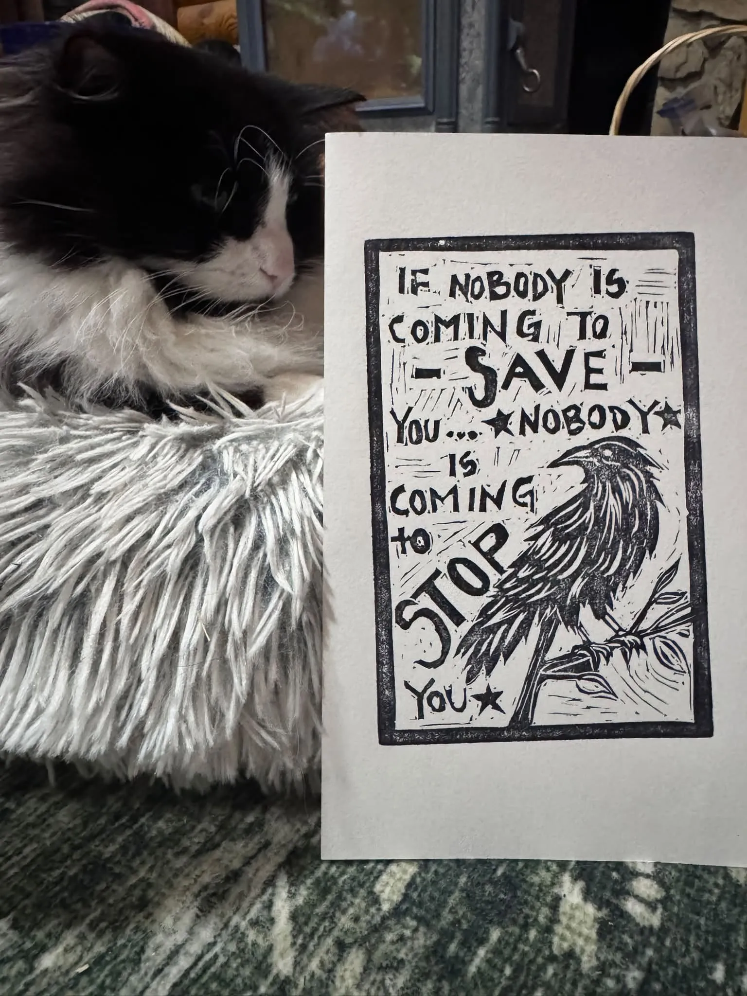 photo of cat dozing next to a black and white linocut of a raven on a branch with text "If nobody is coming to save you... nobody is coming to stop you"; credit Ash Brower on Facebook