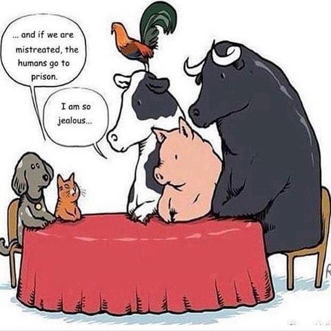 Posted media